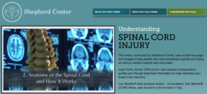 understanding spinal cord injuries